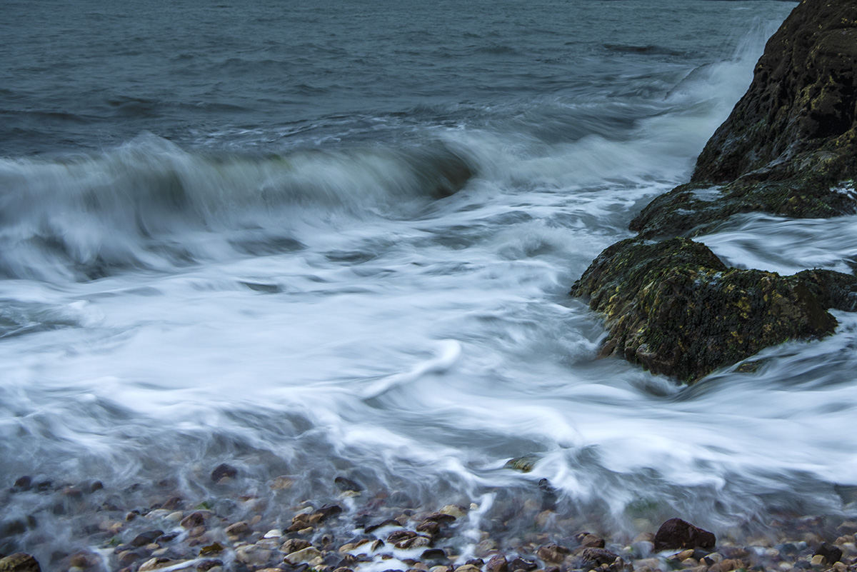 _DSC1682.jpg