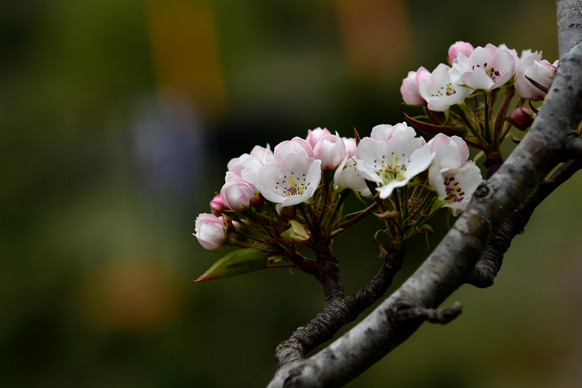 _DSC7474_.jpg