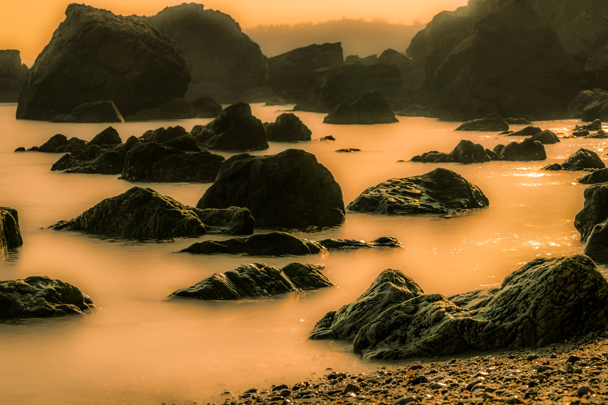 DSC02124_.jpg