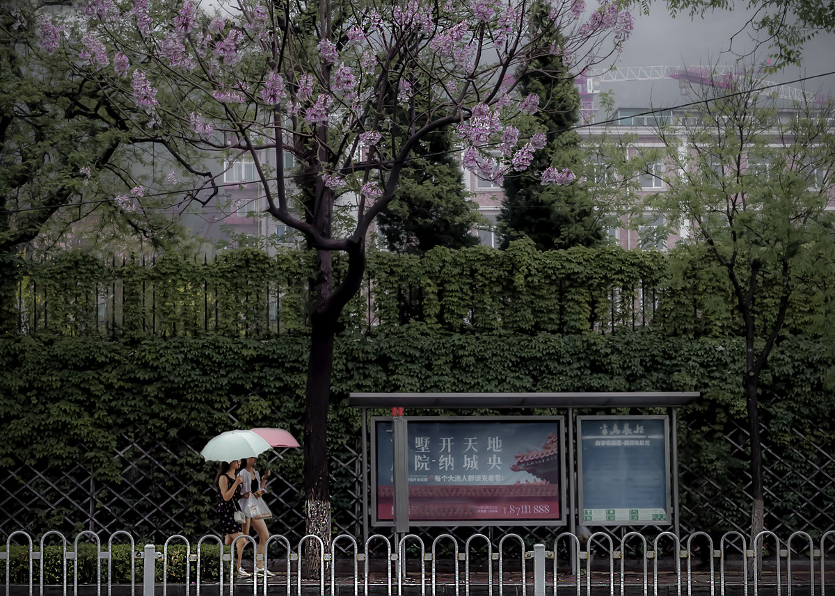 L1051170.jpg