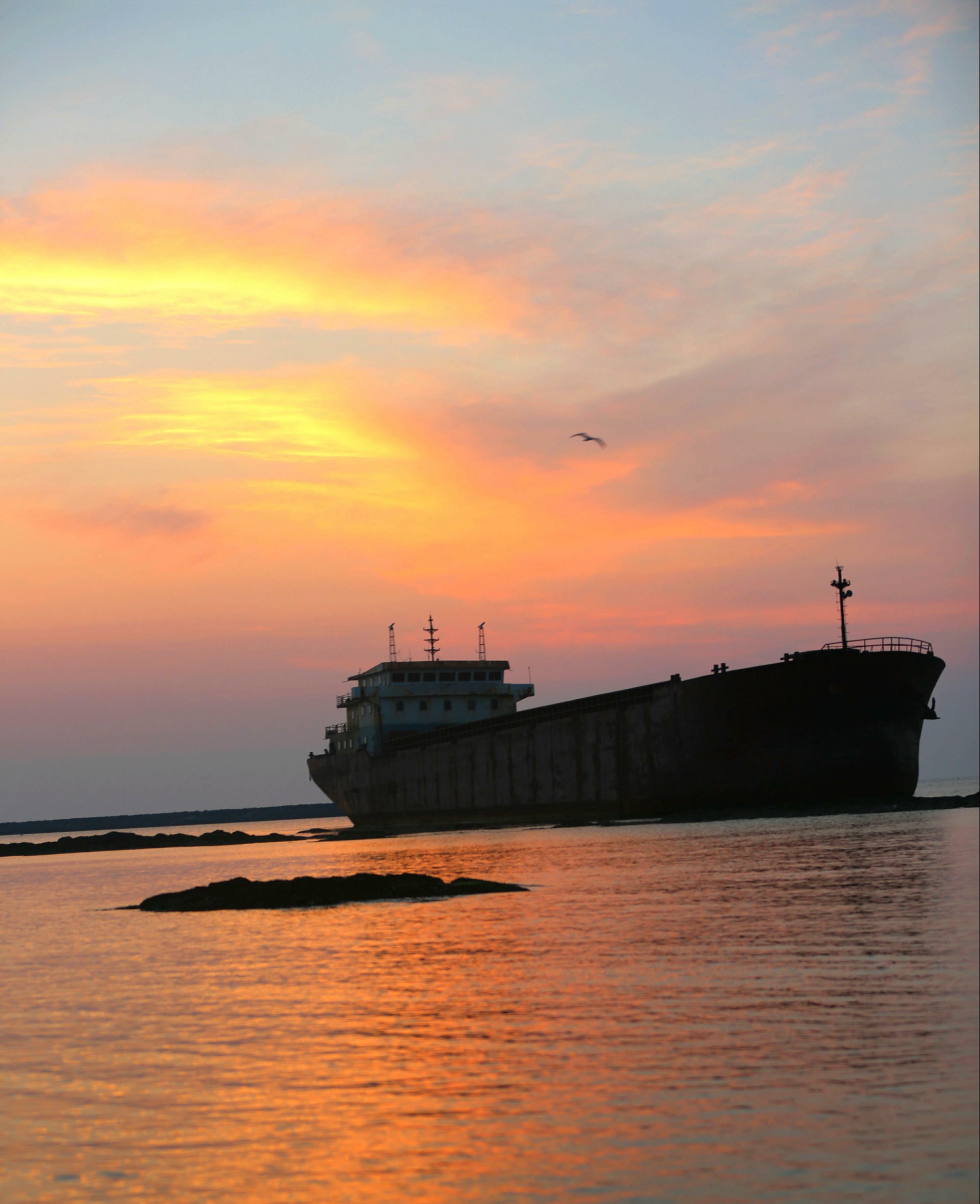 F05A1175-.jpg