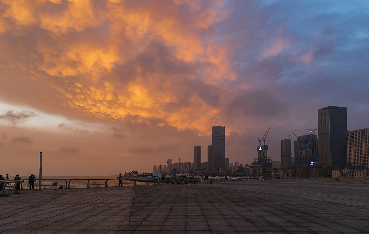 _DSC5915.jpg