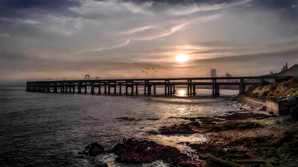 DJI_0203.jpg