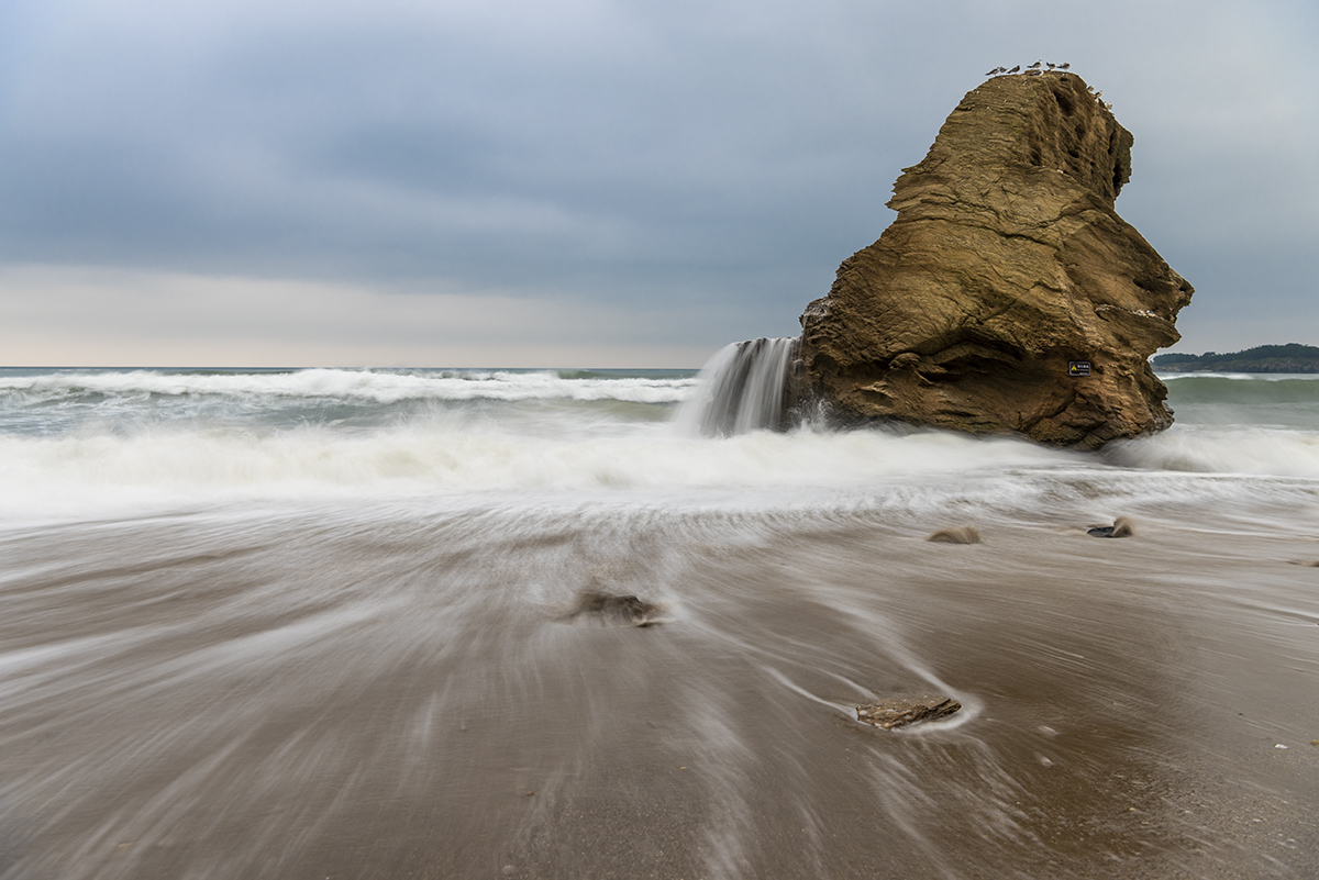 _DSC7938.jpg