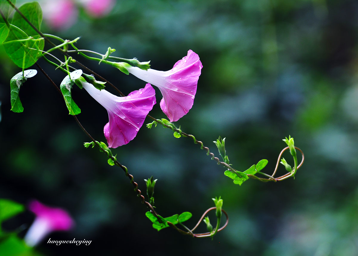 DSC_0572.jpg