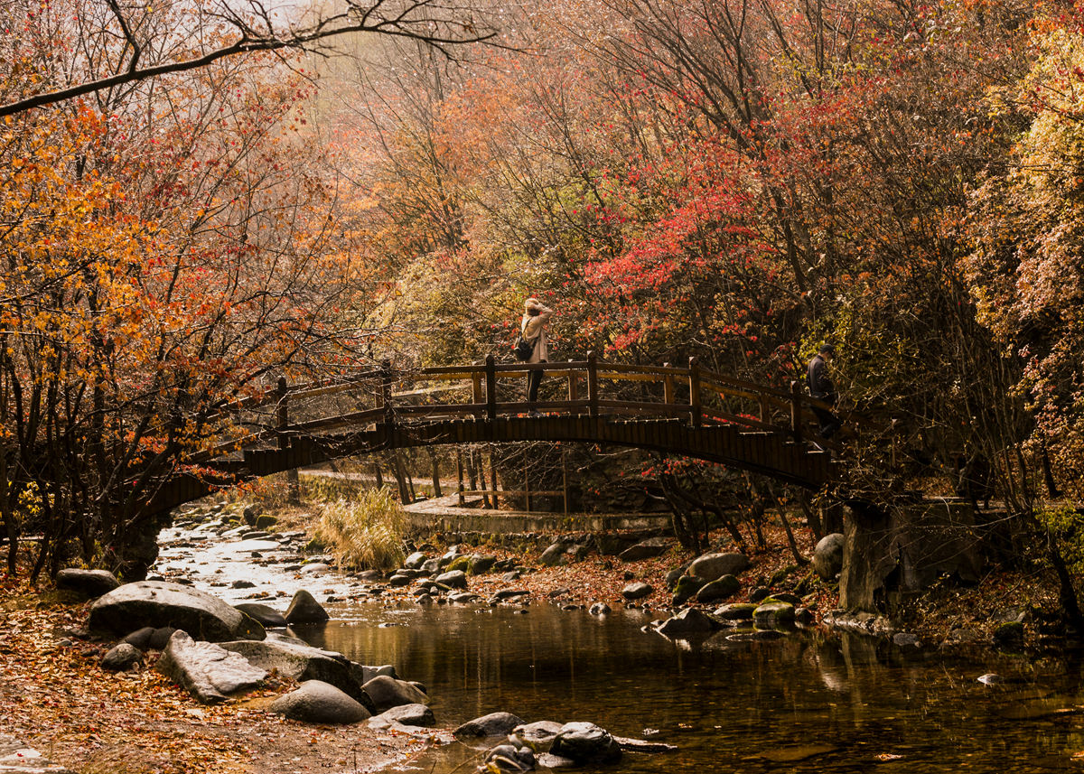 _DSC8202_.jpg