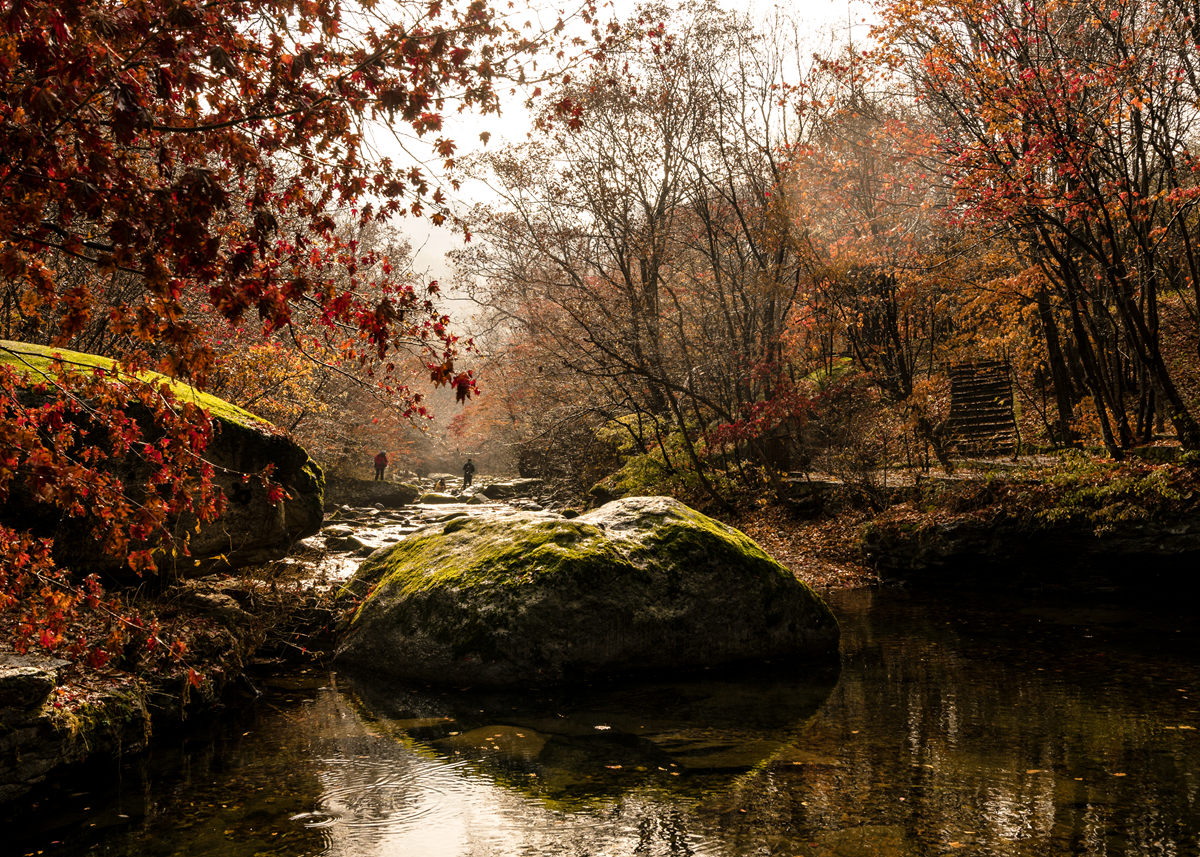 _DSC8180_.jpg