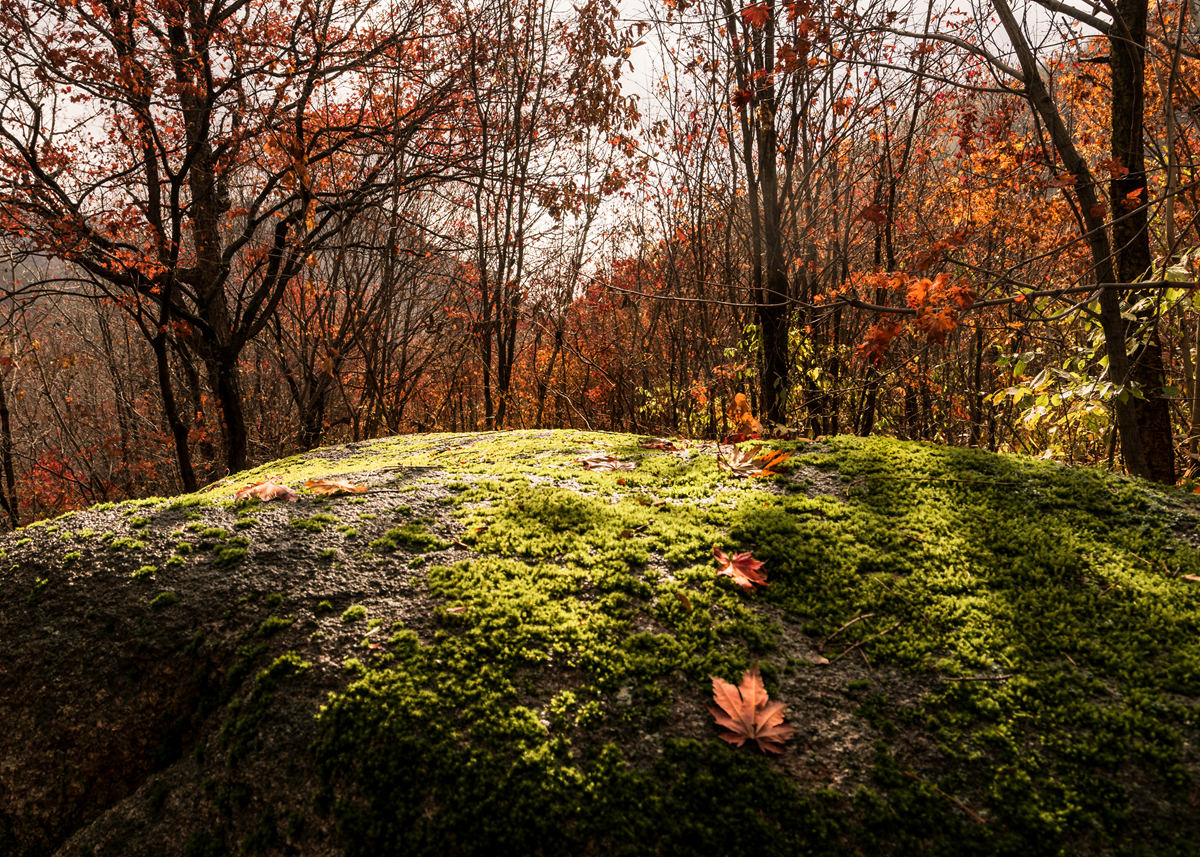 _DSC8256_.jpg