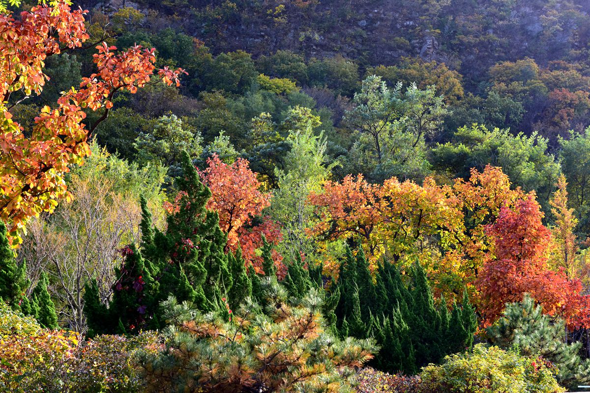 DSC_9333_.jpg