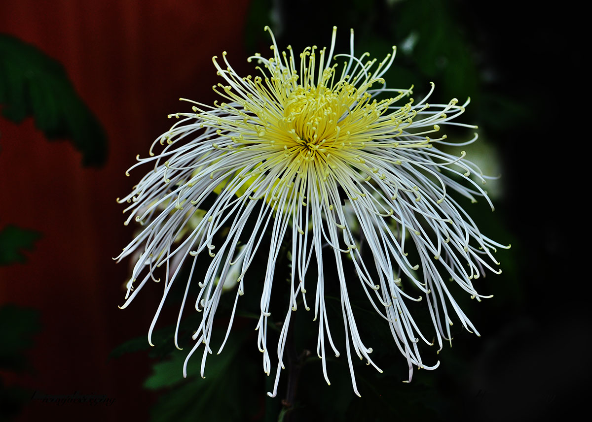 DSC_0076.jpg