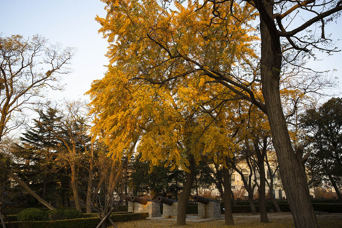 CB9A9464-2.jpg