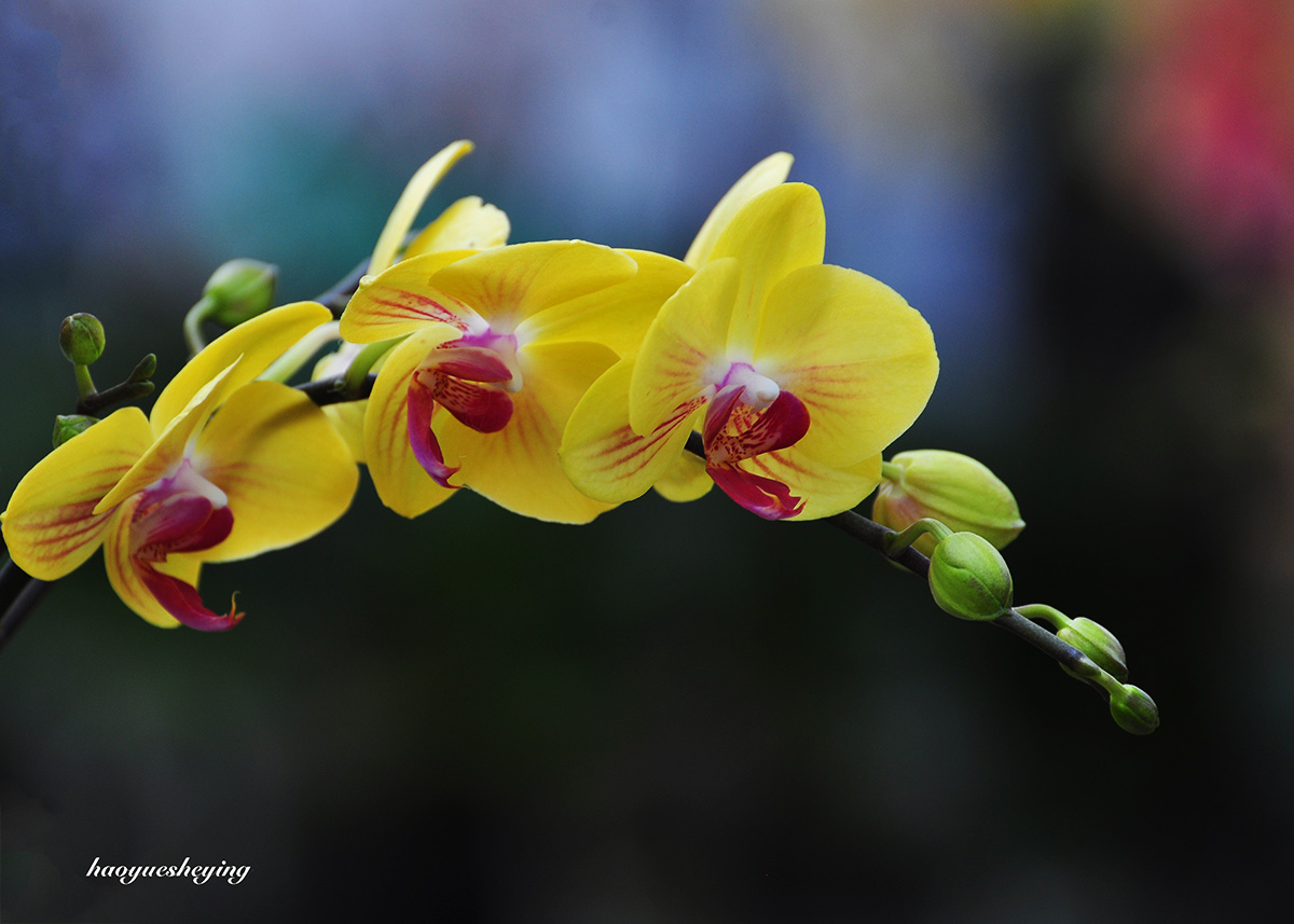 DSC_0230.jpg