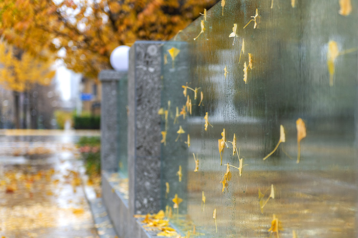 _DSC5958.jpg