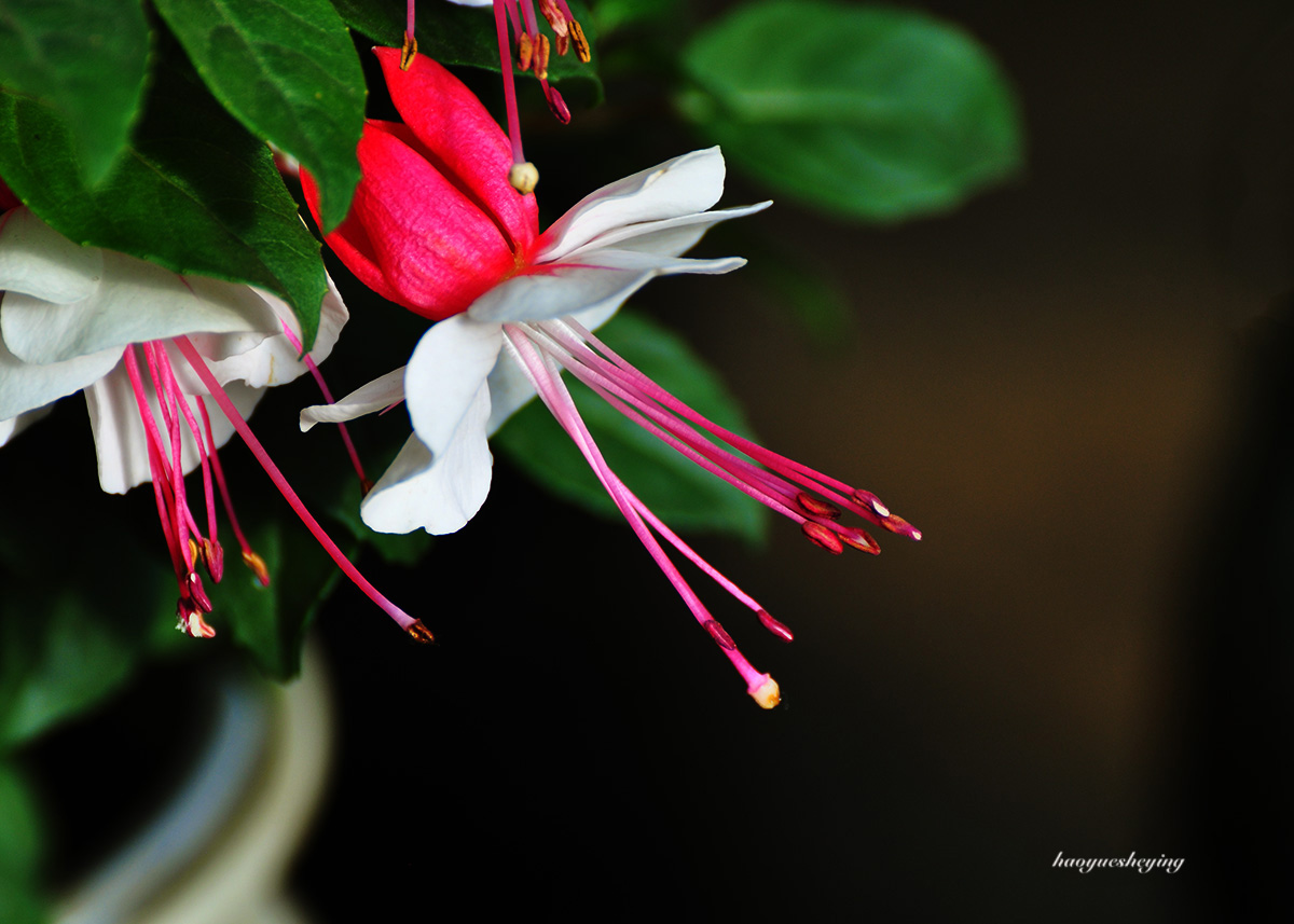 DSC_0751.jpg