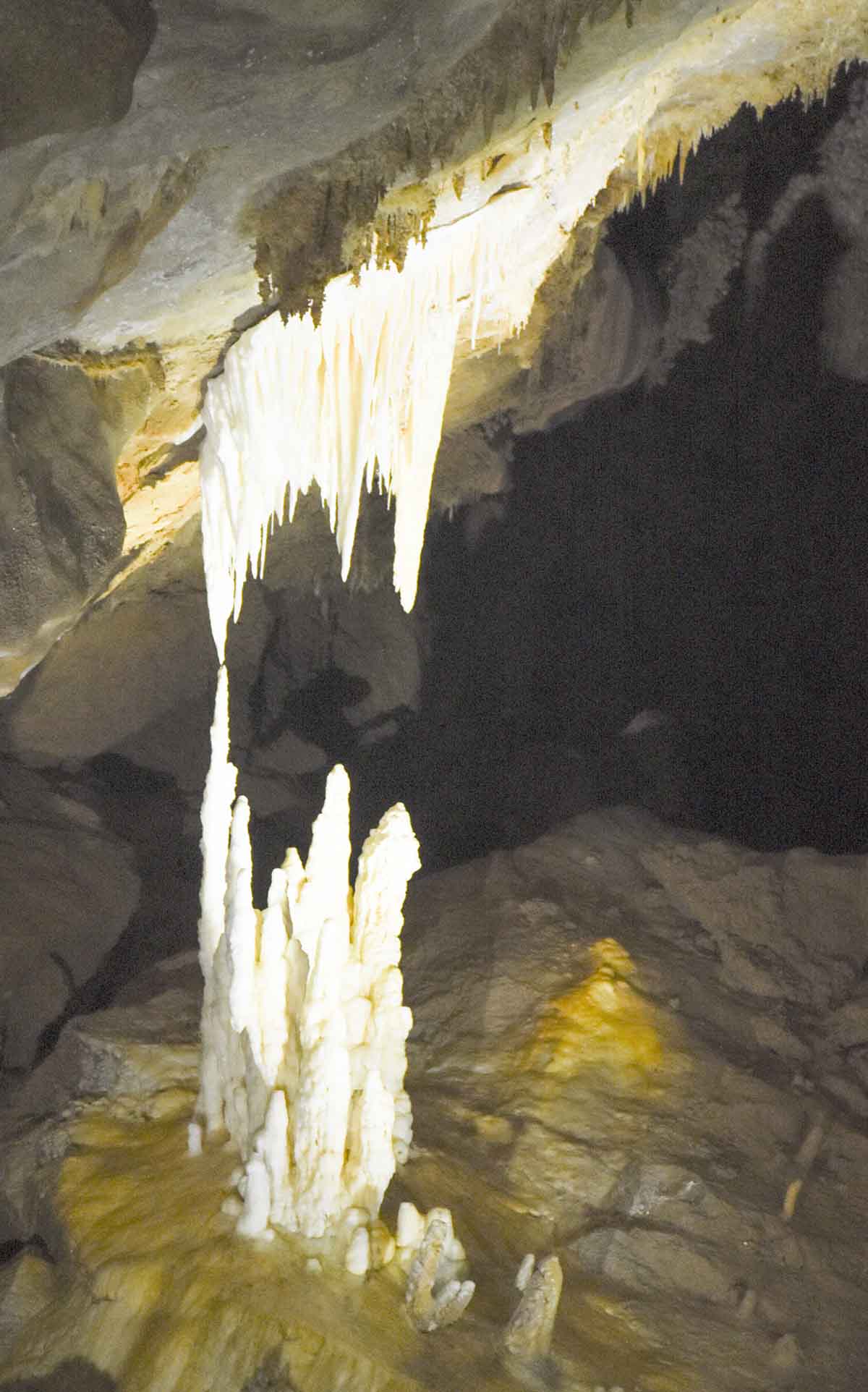 DSC_7168AB.jpg