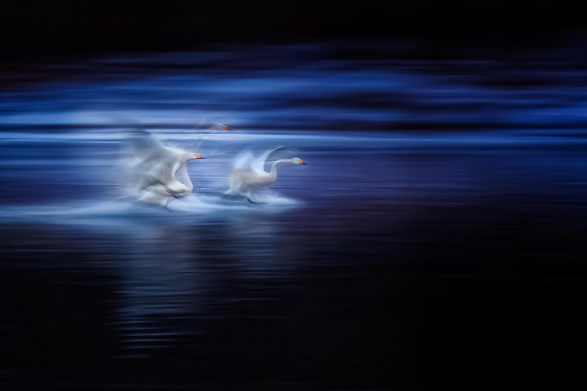 005-Z006-ˮϰ Ʊ-.jpg