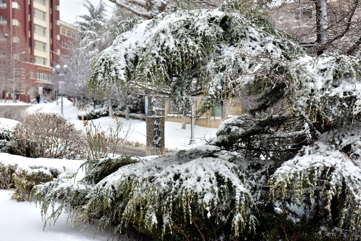 DSC_0457_.jpg