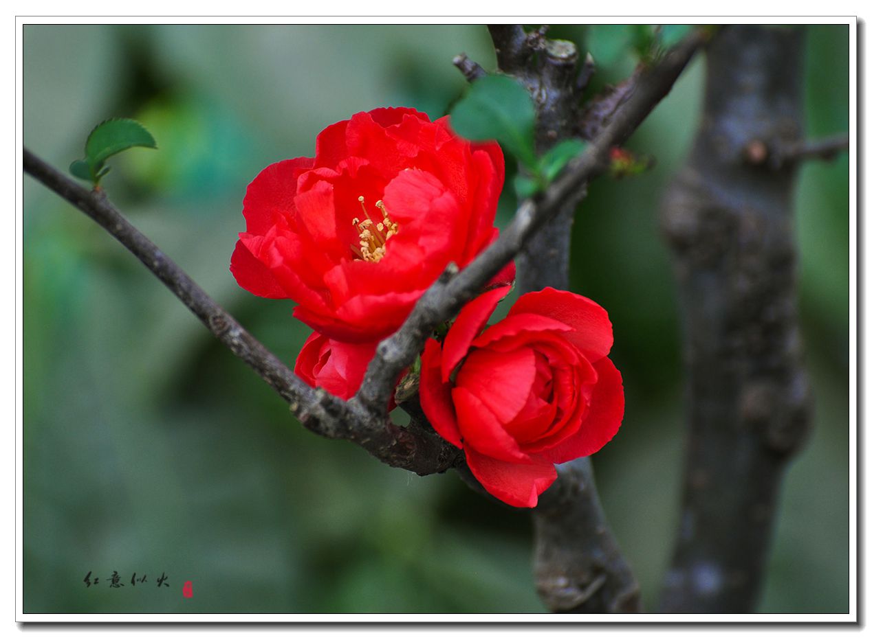 DSC_1209.jpg