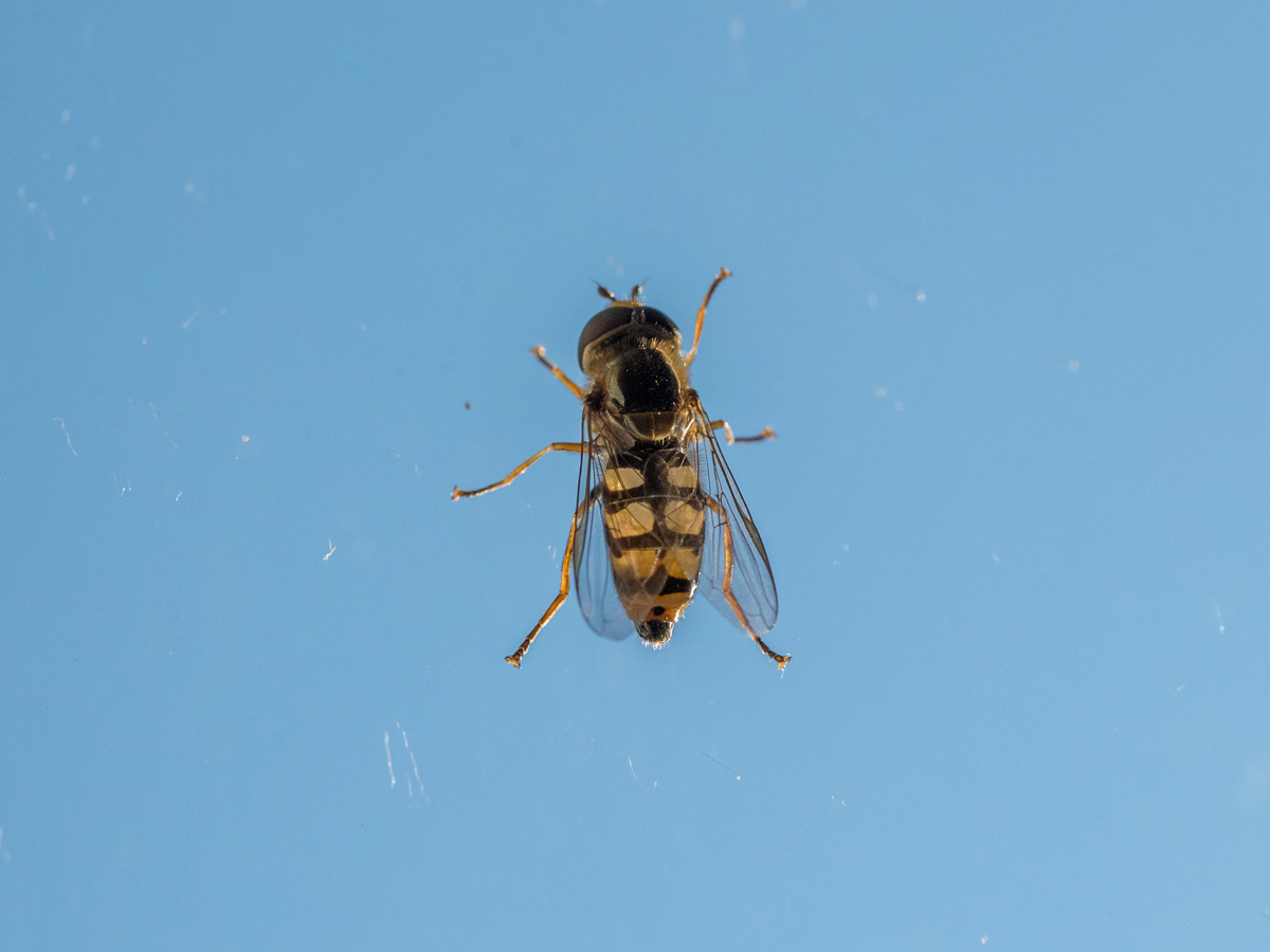 DSC_1861_.jpg