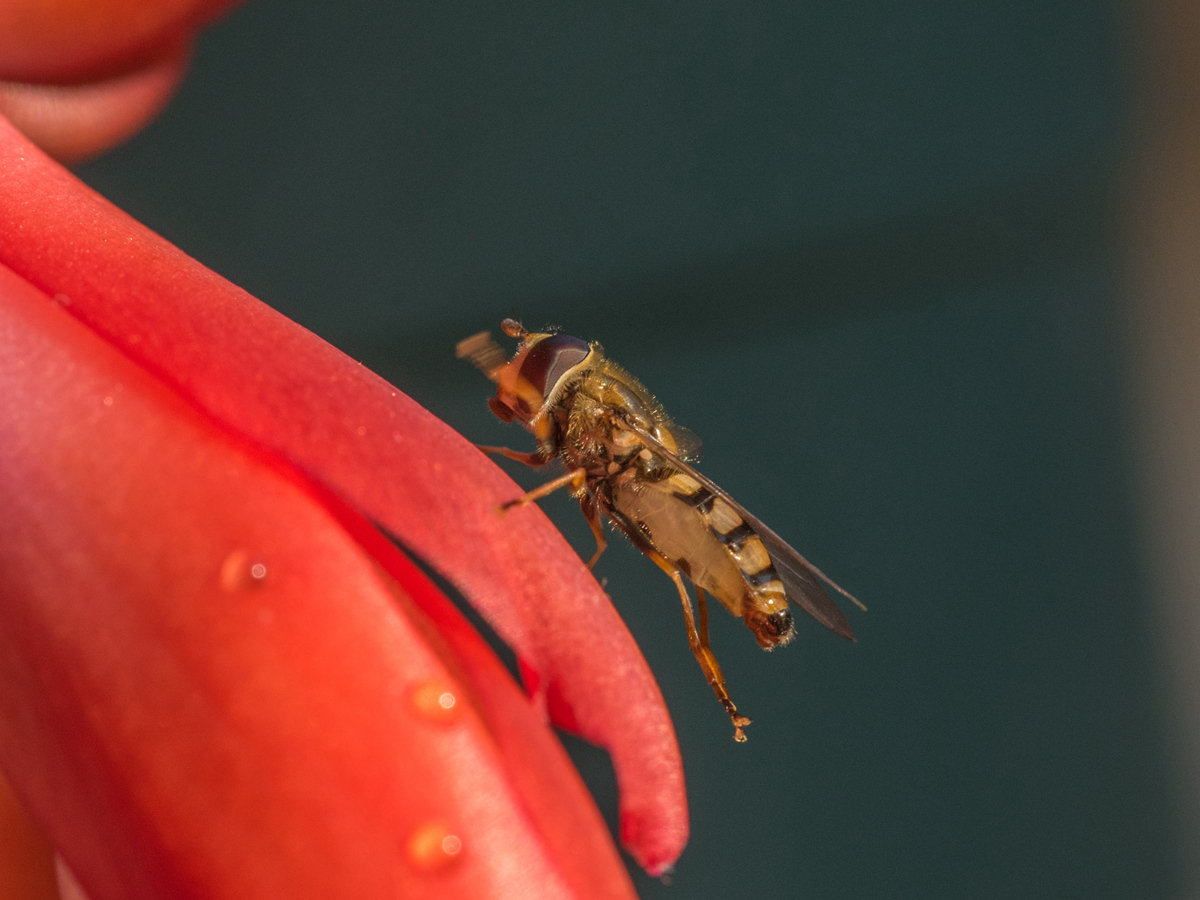 DSC_1890_.jpg