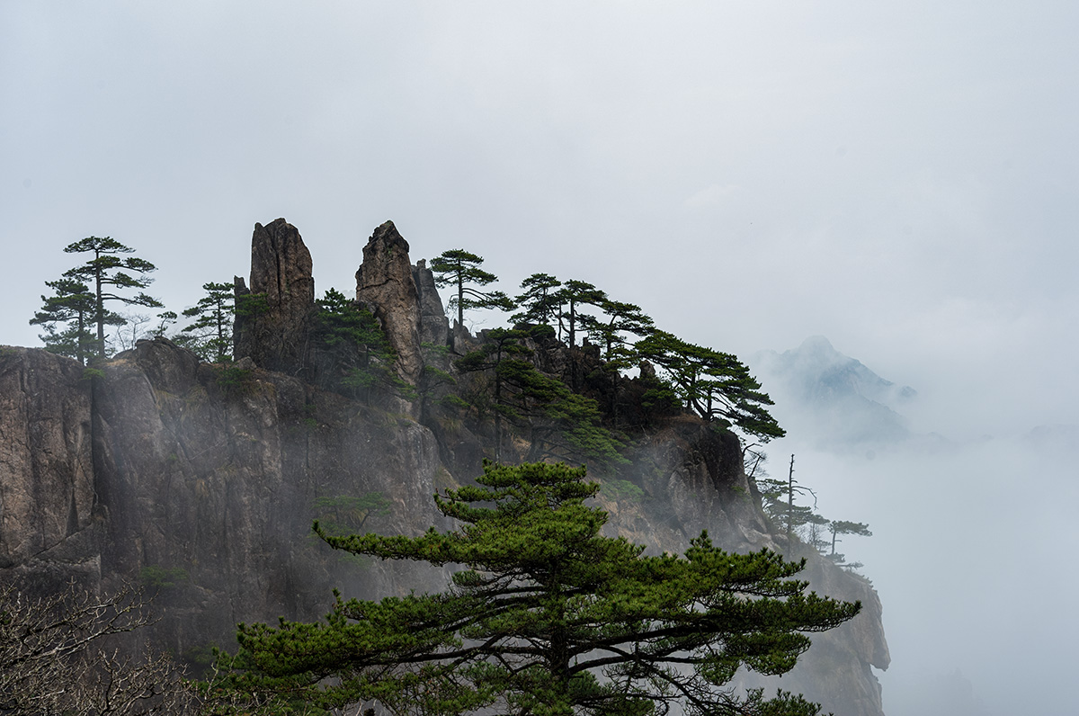 _DSC7772.jpg
