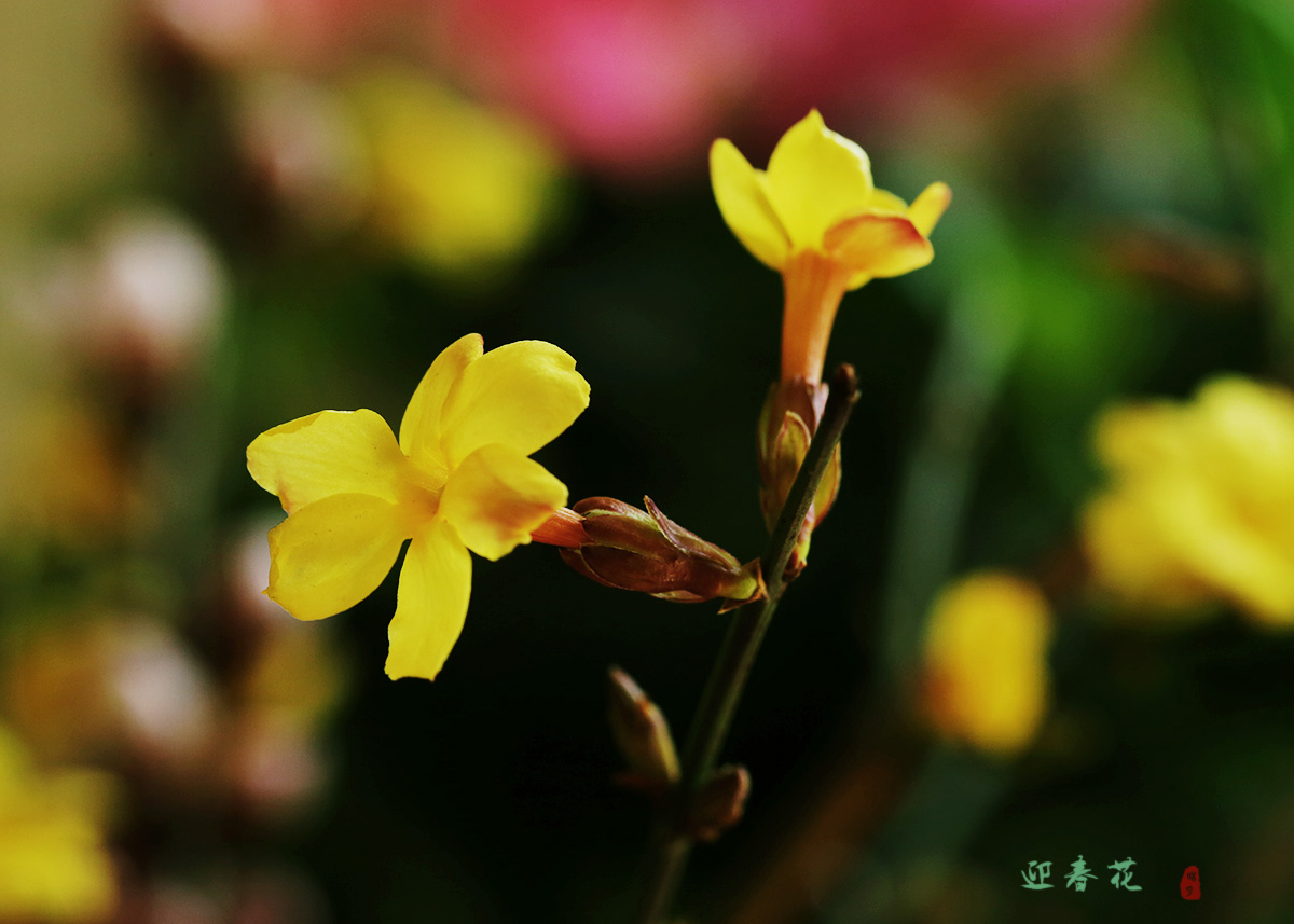 161A3798.jpg