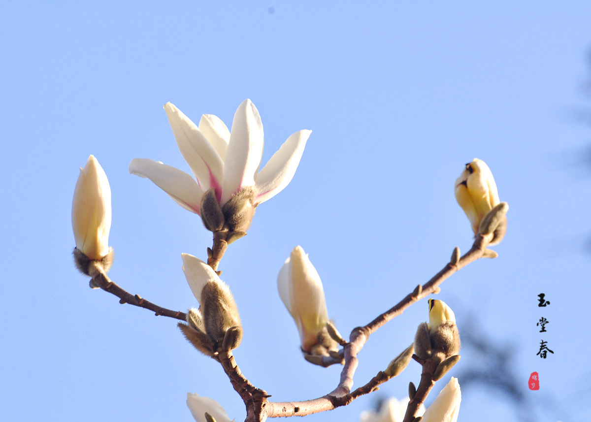 DSC_0312.jpg