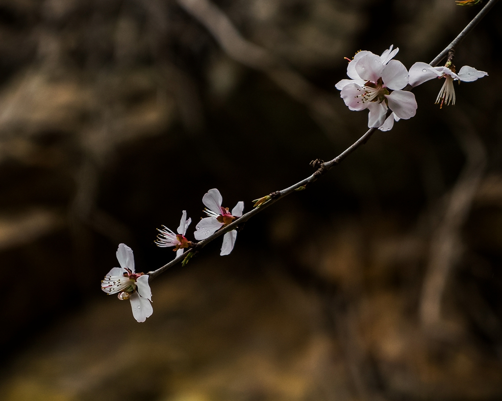 _DSC1615_.jpg