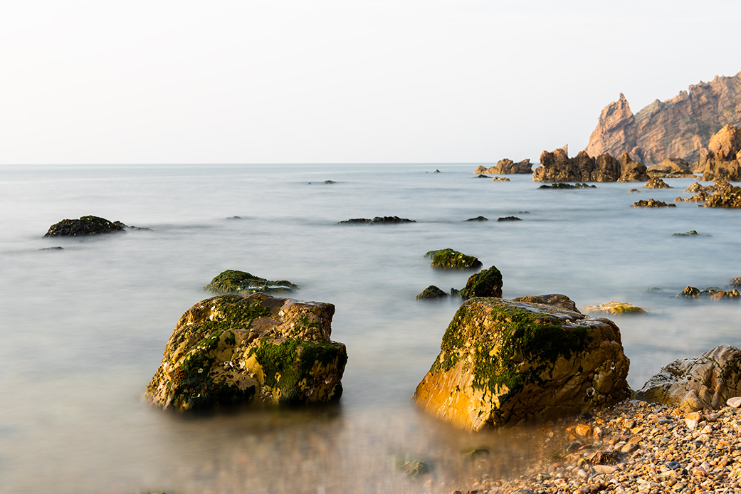 _DSC2553.jpg