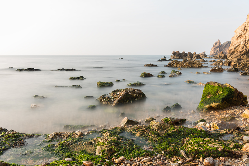 _DSC2558.jpg