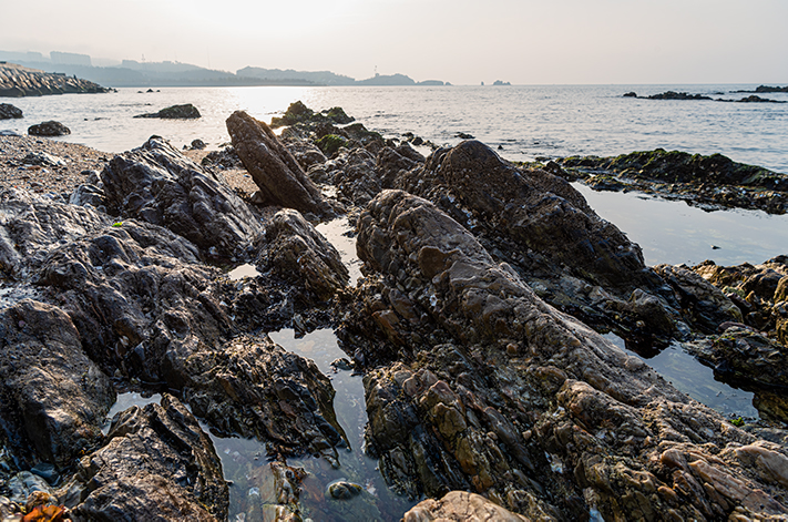 _DSC2574.jpg