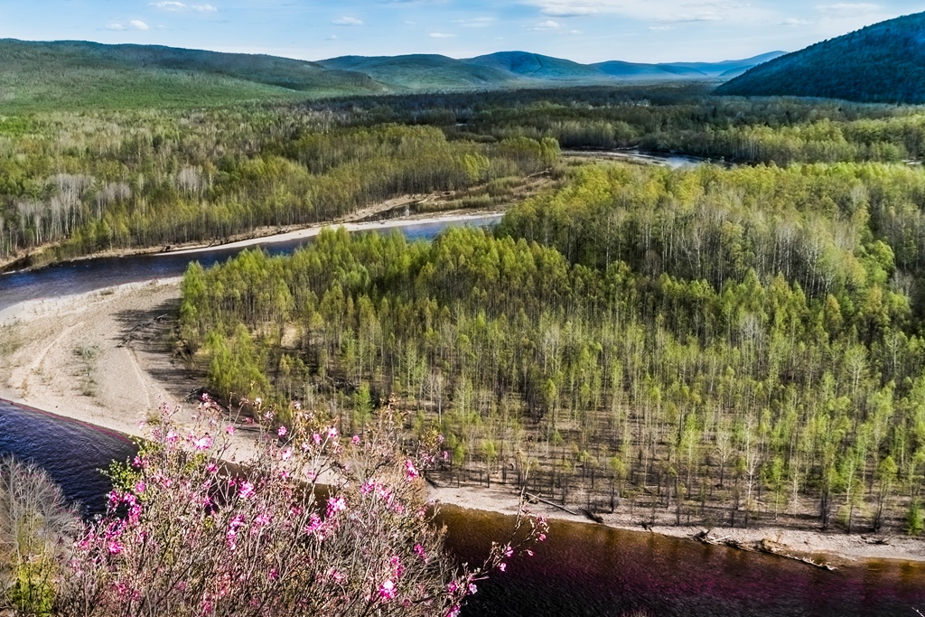 _DSC1162_.jpg