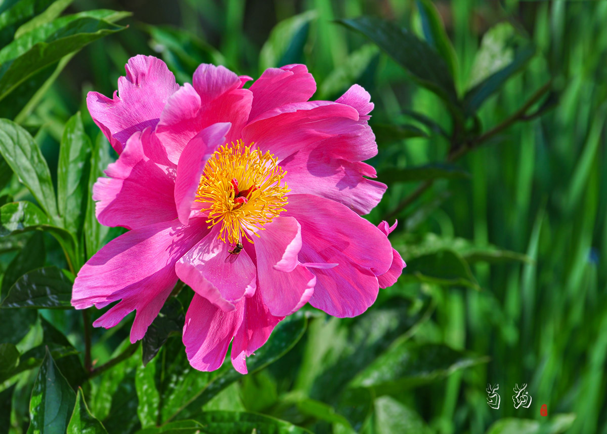 DSC_0076.jpg
