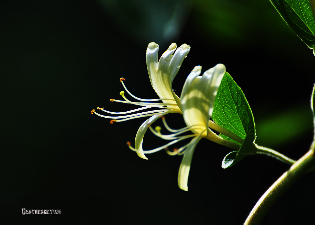DSC_0585.jpg