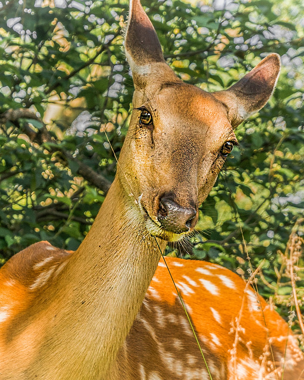 _DSC1861_.jpg