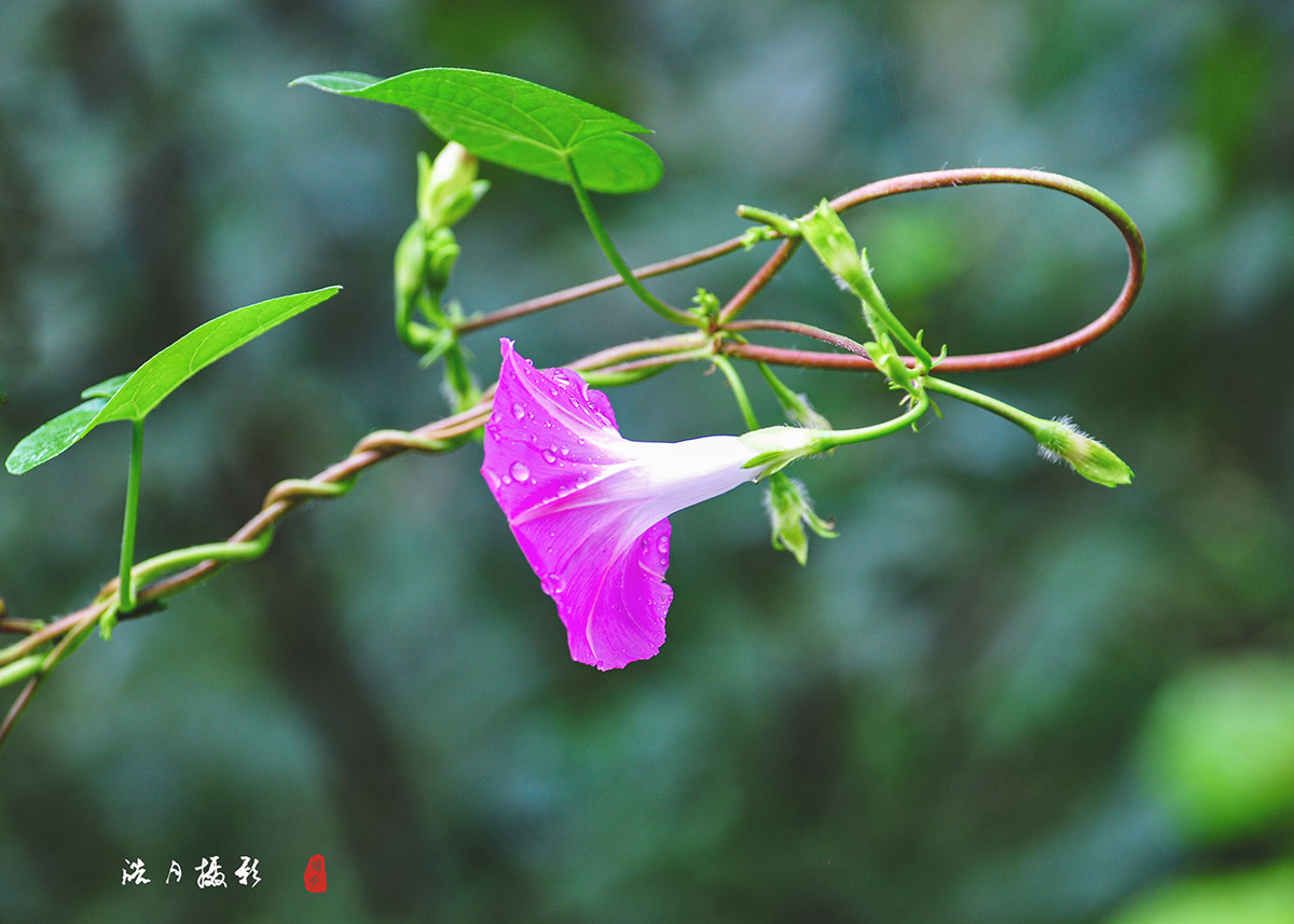 DSC_0922.jpg