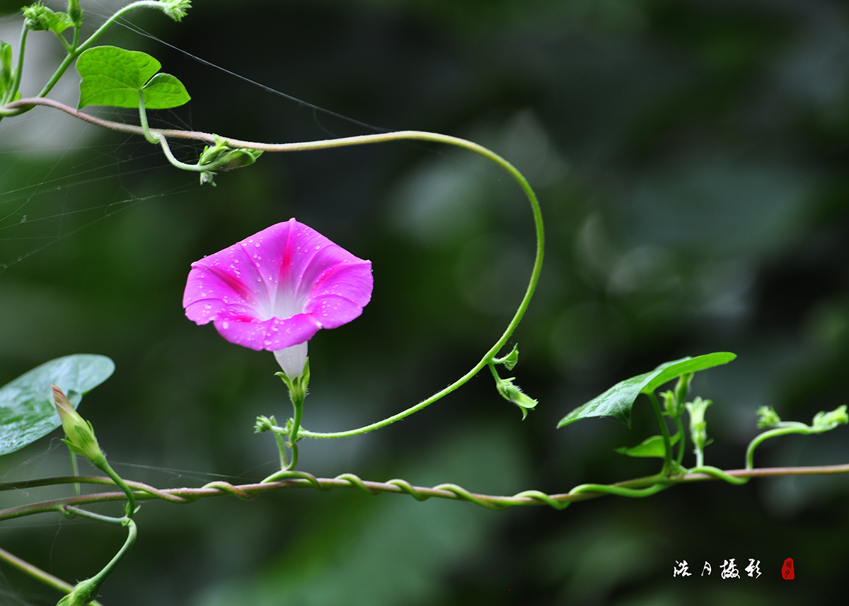DSC_1029.jpg