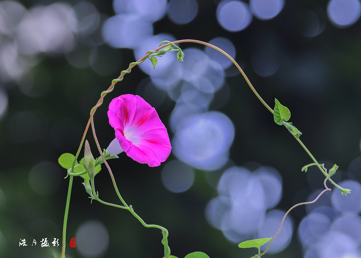 DSC_1055.jpg