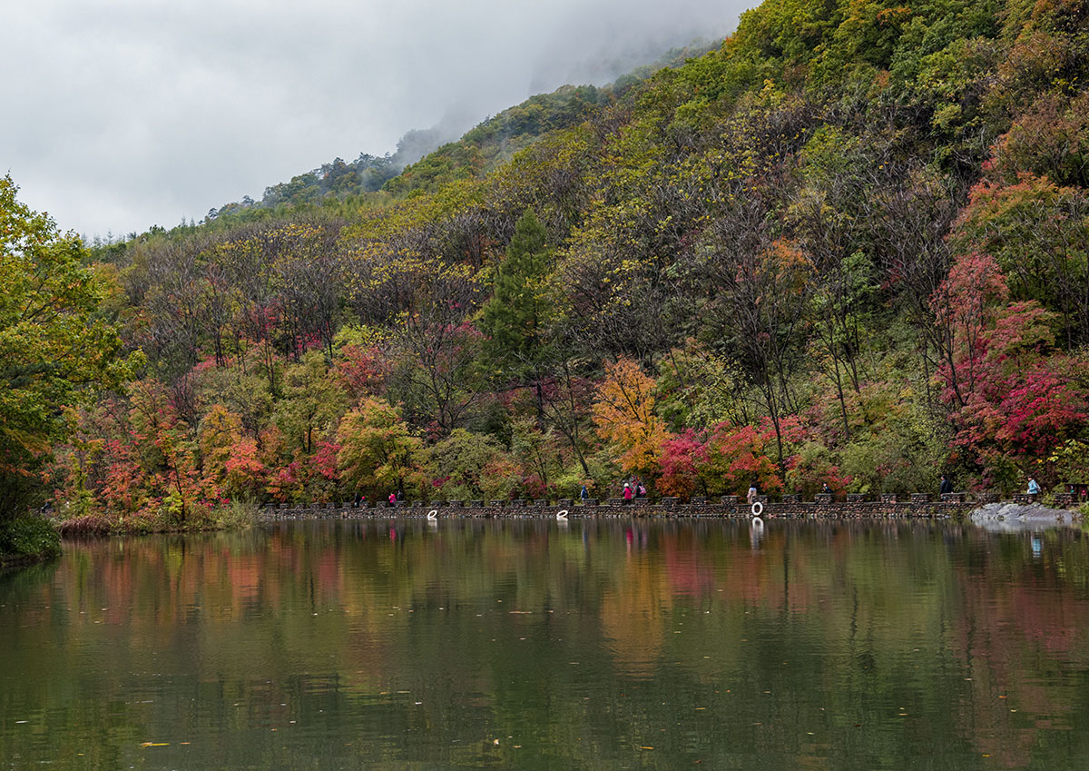_DSC9397.jpg
