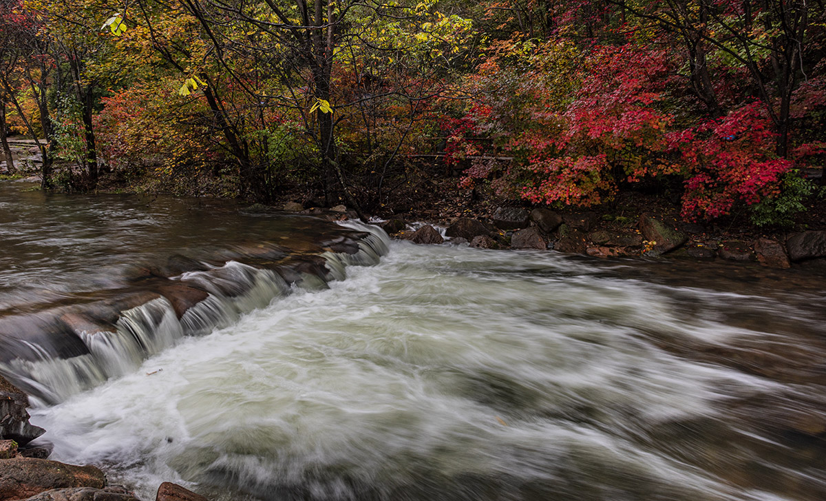 _DSC9420.jpg