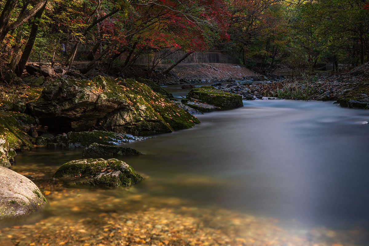_B9A9766-1-2.jpg