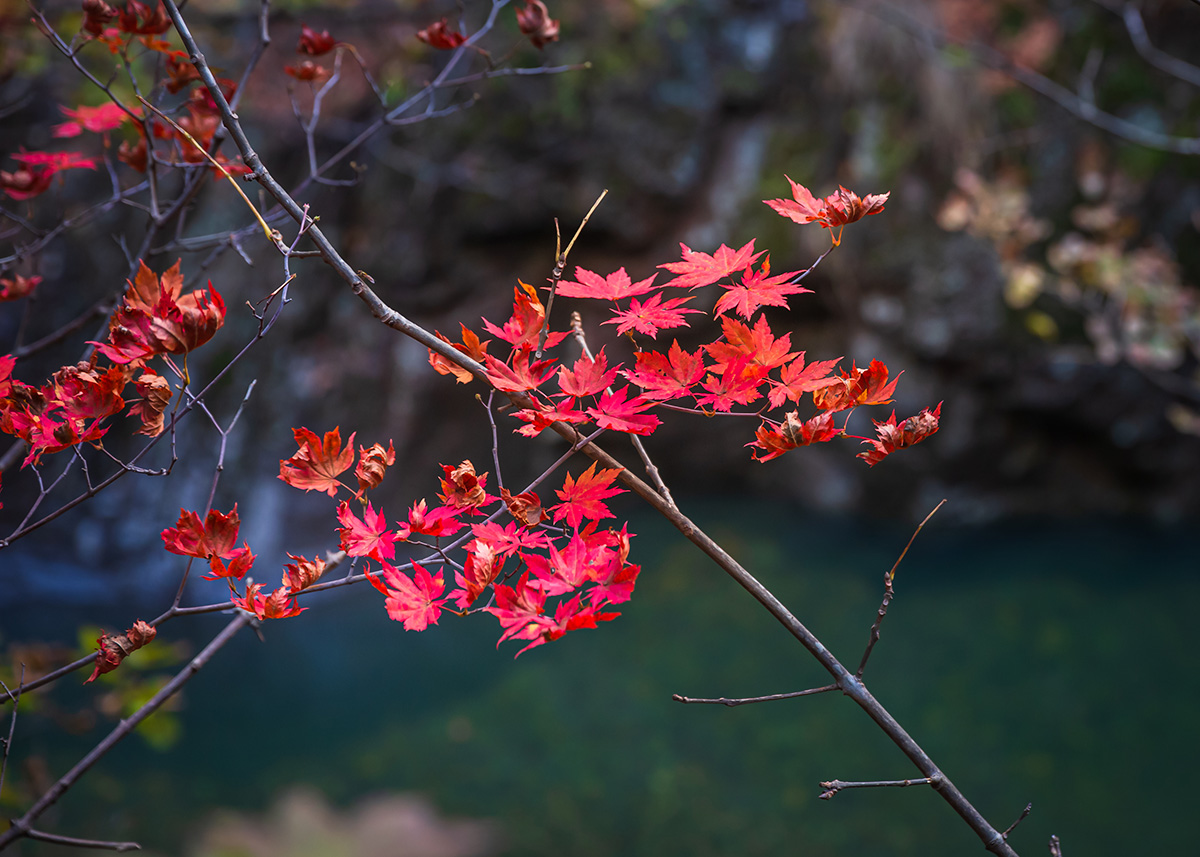 _B9A9779-3-2.jpg