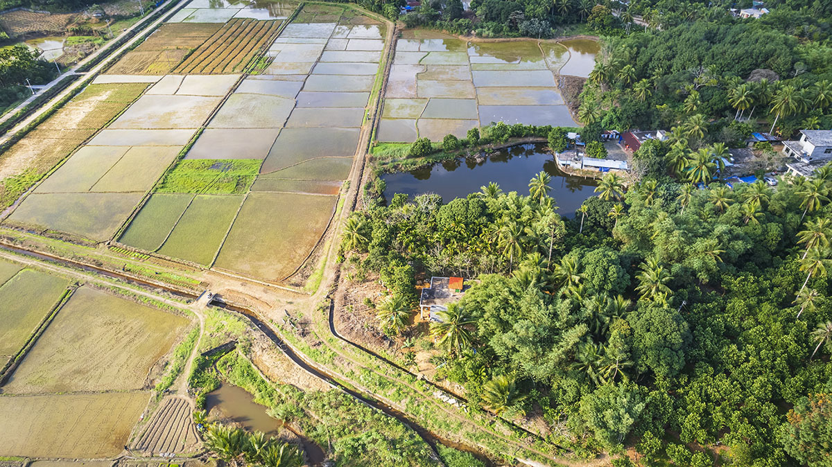 DJI_0040-1-2.jpg