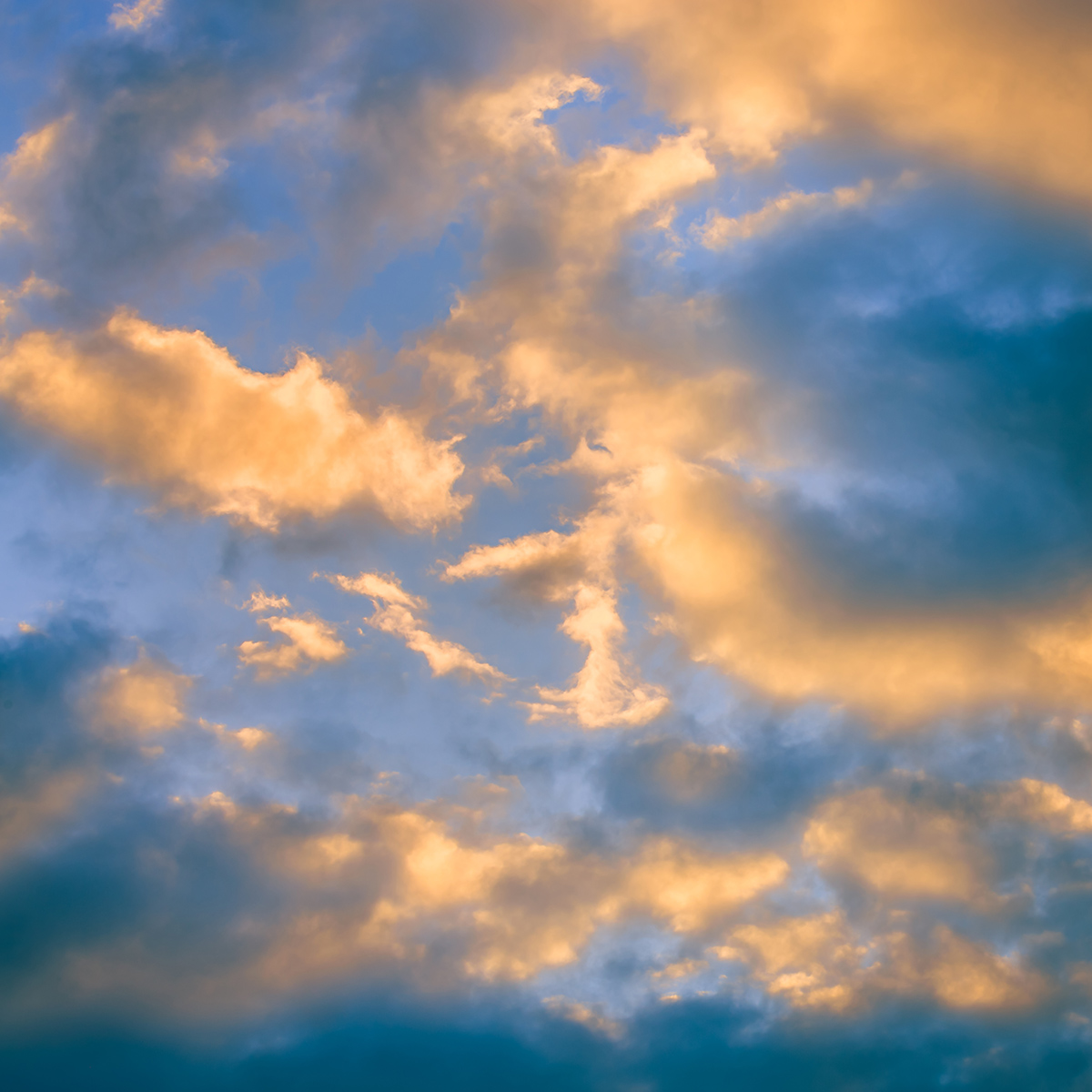 _B9A9588-2-2.jpg
