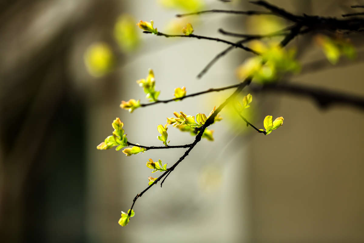 _Q8A1471-1-1.jpg