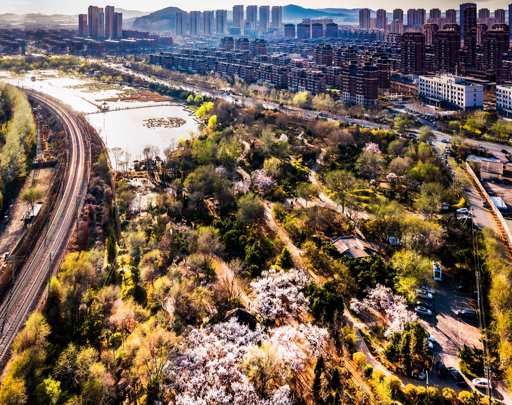 DJI_0640.jpg