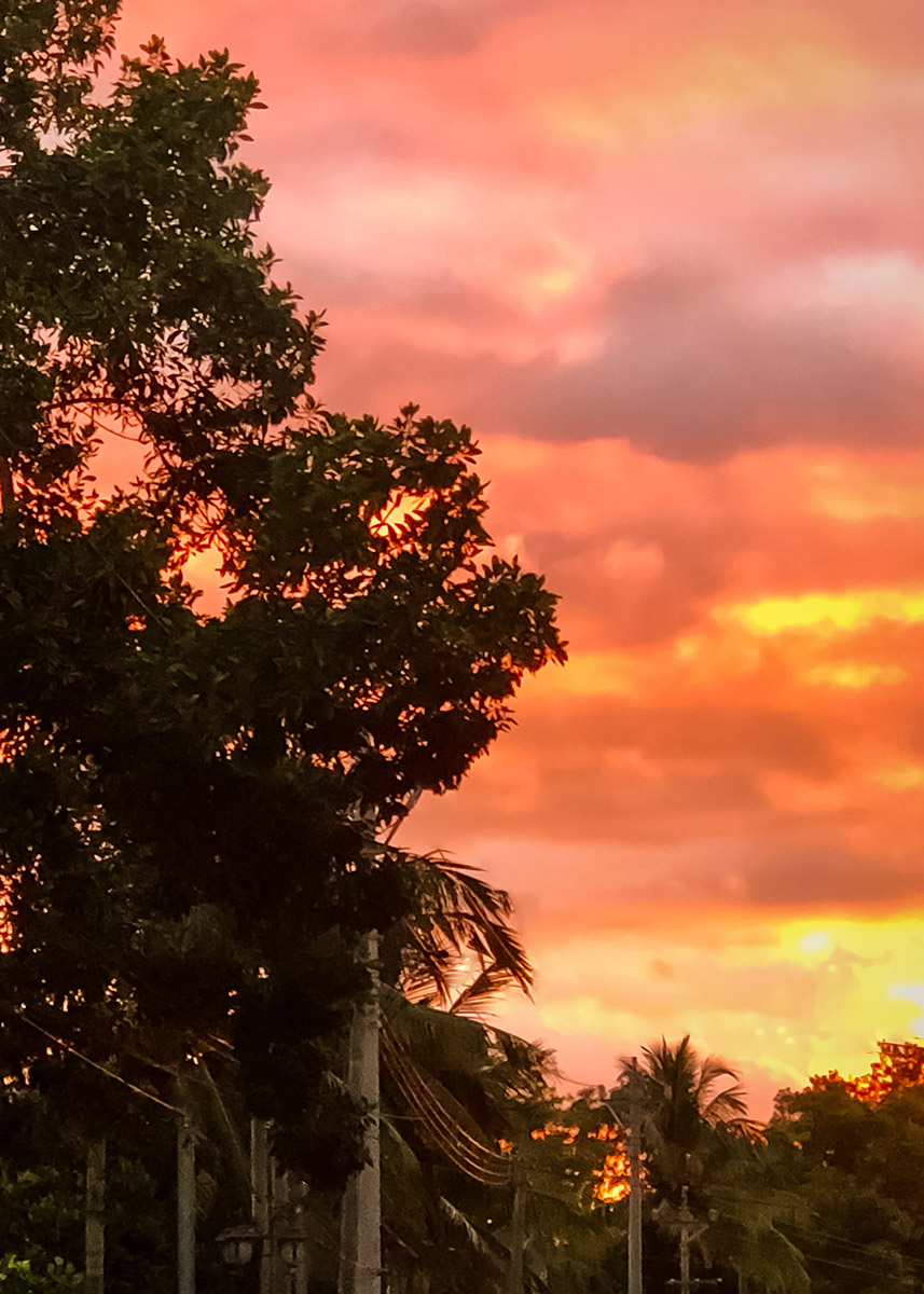 180704-1-2.jpg