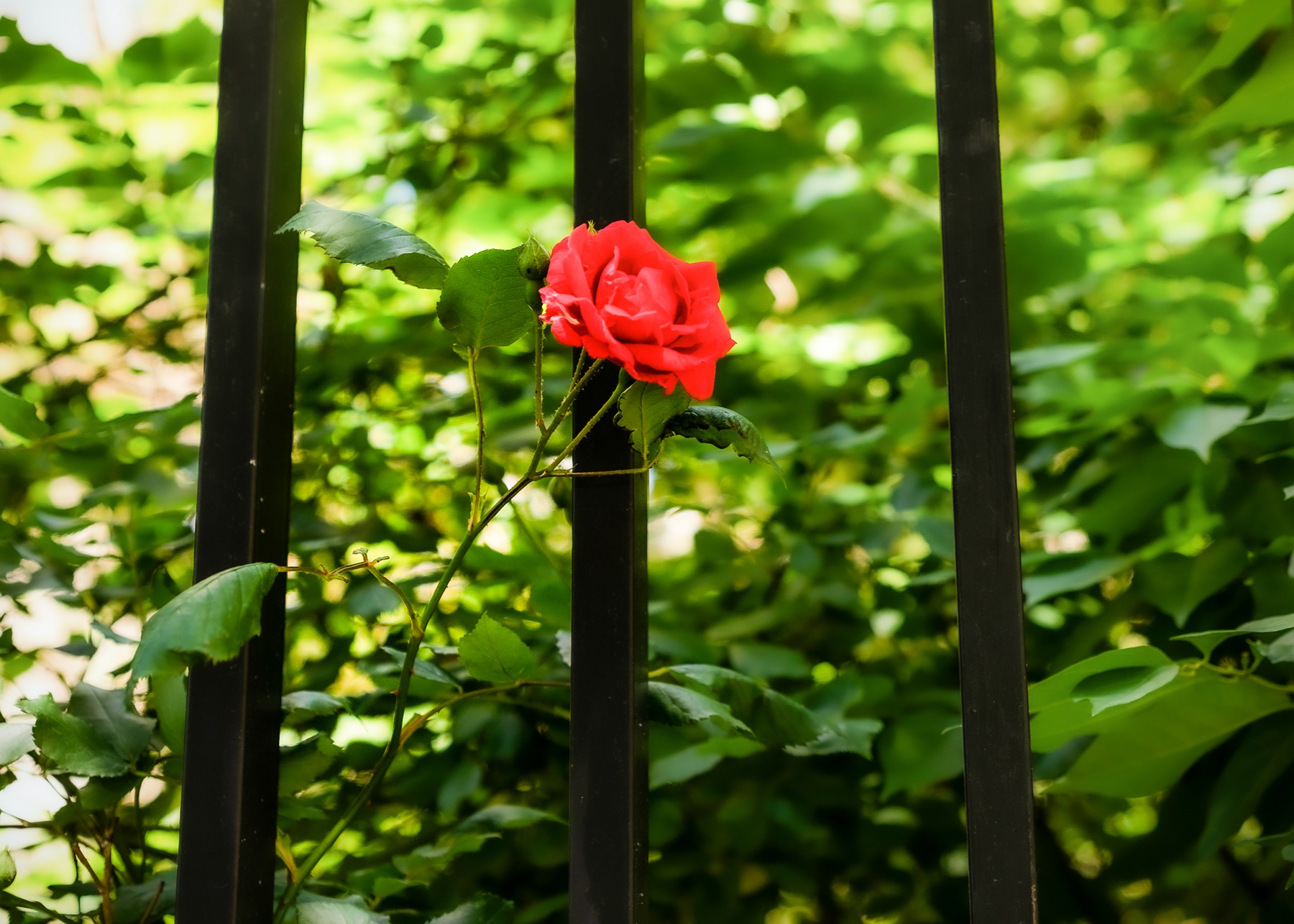 _DSC5896__.jpg