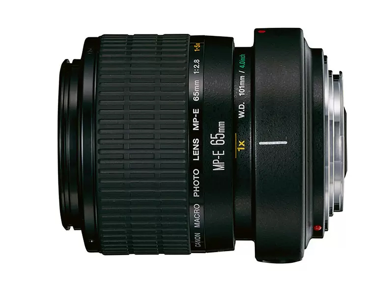 Canon65mmרҵ΢൥ͷ1.jpg