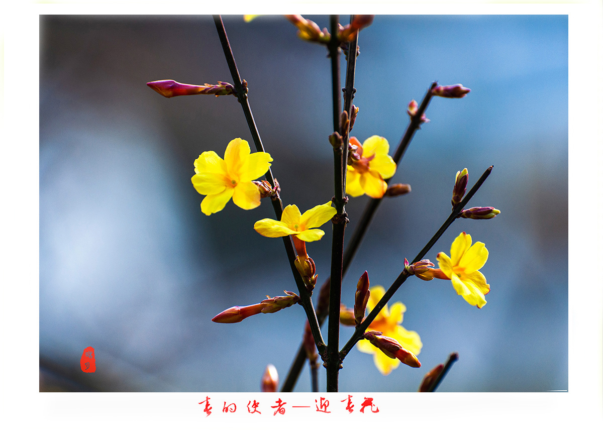 161A9818b.jpg